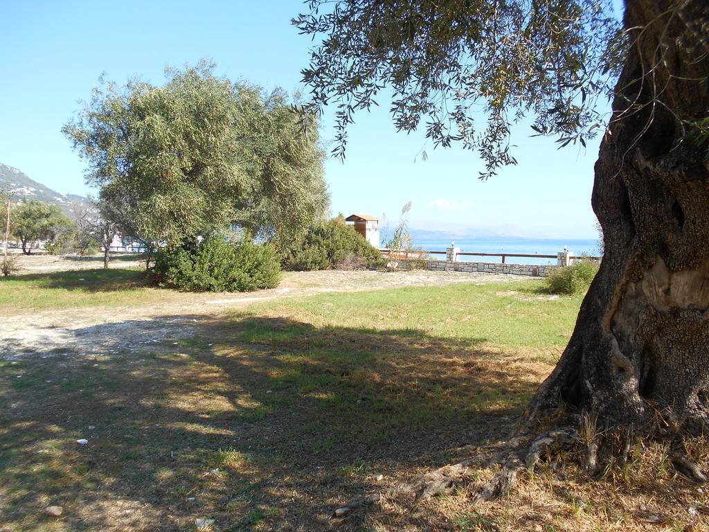 Lukia Barbati Mare Villa Bagian luar foto
