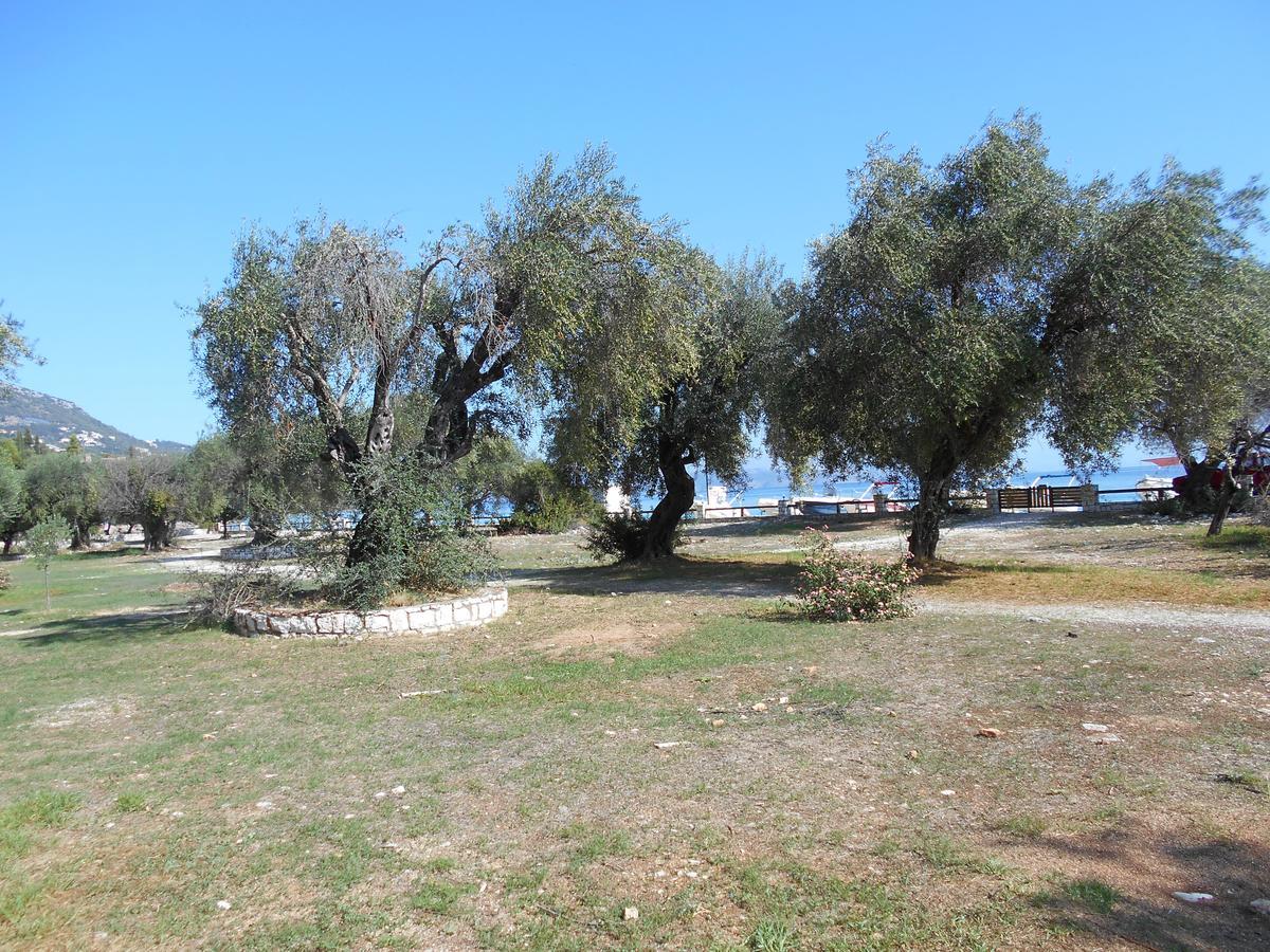 Lukia Barbati Mare Villa Bagian luar foto