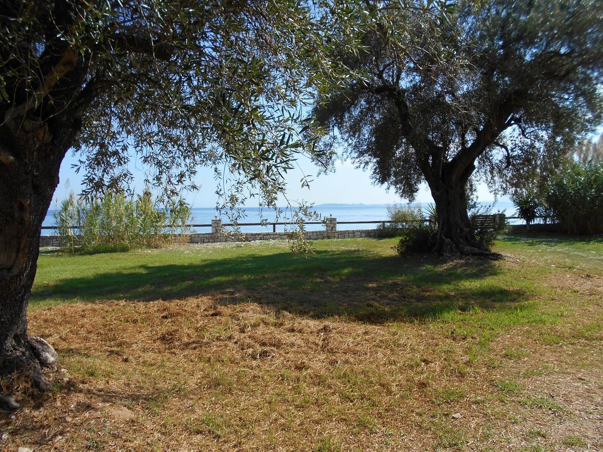 Lukia Barbati Mare Villa Bagian luar foto