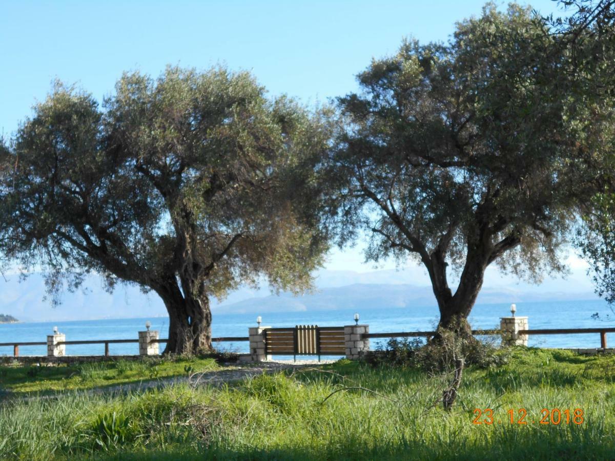 Lukia Barbati Mare Villa Bagian luar foto