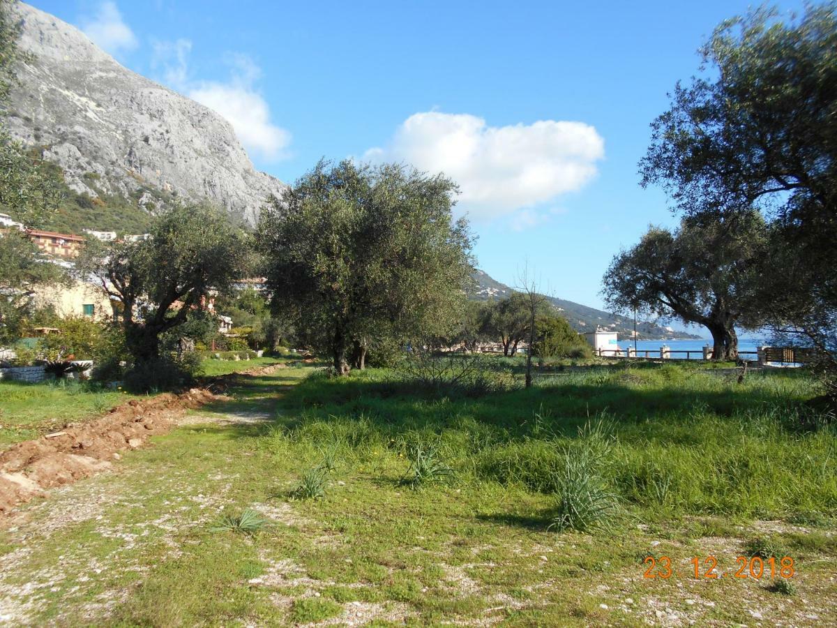 Lukia Barbati Mare Villa Bagian luar foto